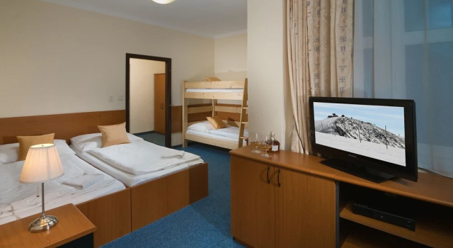 Четырёхместный номер Economy c 1 комнатой Hotel Domovina
