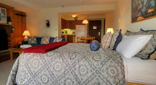 Mg 3d11 - Mt. Green Studio: Sleeps 4. Close To Skiing!