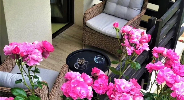 Номер Comfort Casa Varful Cu Dor