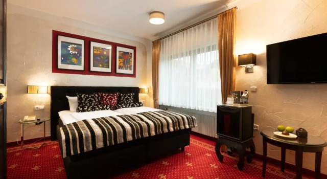 Одноместный номер Standard Alpin & Wellness Resort Ludwig Royal