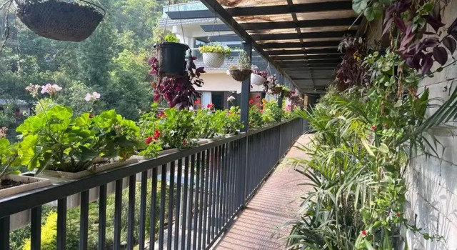 Dippys the boutique hotel, Réserver Hôtel-boutique Dharampur 
