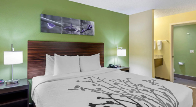 Двухместный номер Standard Sleep Inn Denver Tech Center