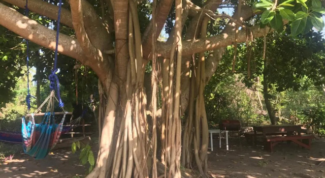 Коттедж Hacienda de la Bahia