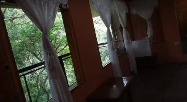 Номер Standard Hotel Forest Dreams Manakin