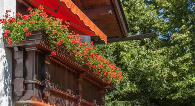 Hotel Alpina
