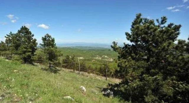 Albergo Tulliola, Varaa Hotelli San Venanzo Umbria