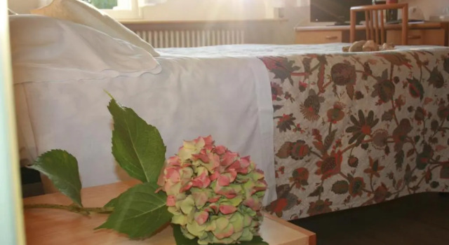 Номер Standard B&B Ortensia
