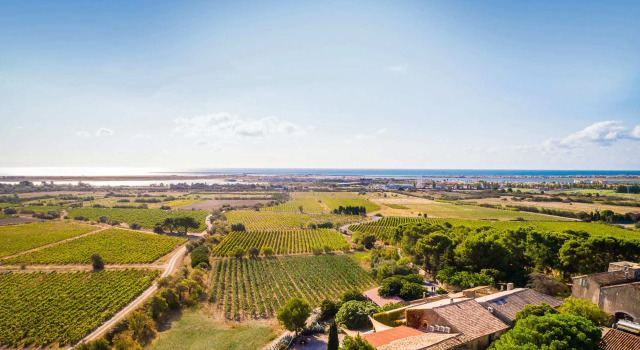 Château le Bouïs