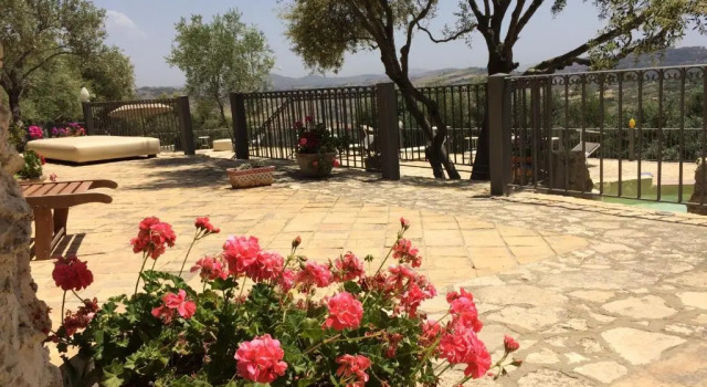 Двухместный номер Standard agriturismo roba degli ulivi