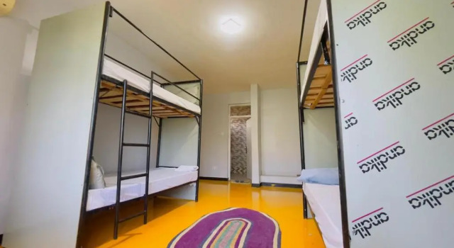 Bett im Wohnheim Gallivanters Hostel