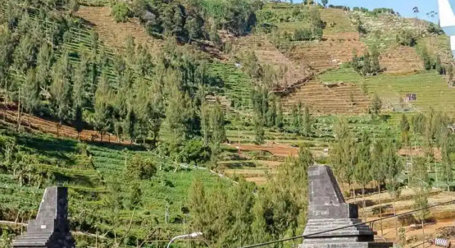 King Dieng Hotel