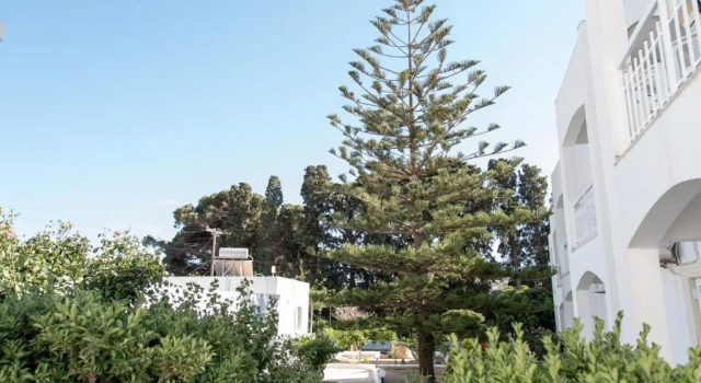 Студия Irene Hotel Leros