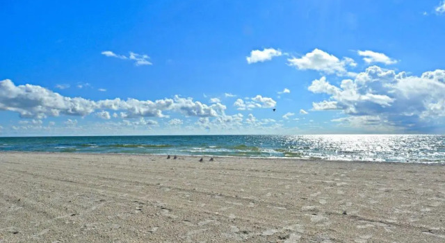 Land's End 8-401 Beach Front, Забронировать Апартаменты/квартира Отели Сент-Пит-Бич с парковкой, рядом с Splash Island Water Park, Парковка