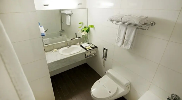 Двухместный номер Standard Hotel Prima Seoul