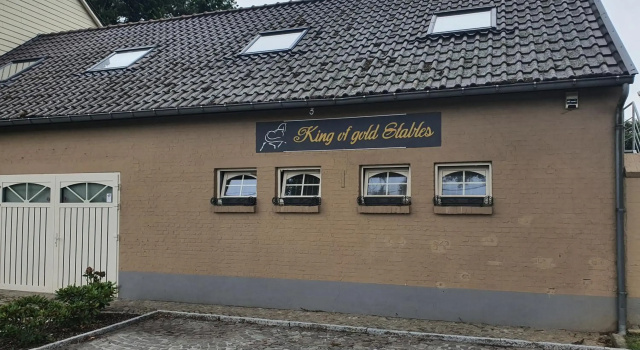 King of Gold Stables appartement met stalling voor 5 paarden, Rezerwuj Apartament Hotele w Bruksela z parkingiem, Parking