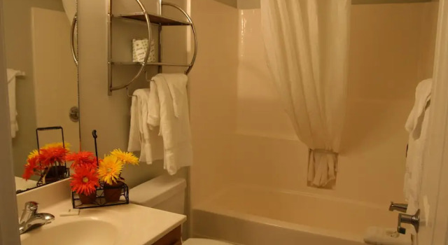 Одноместный люкс Standard Affordable Suites Shelby