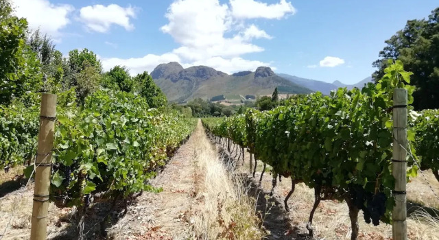 Коттедж Comfort с 2 комнатами Franschhoek Rose Cottages