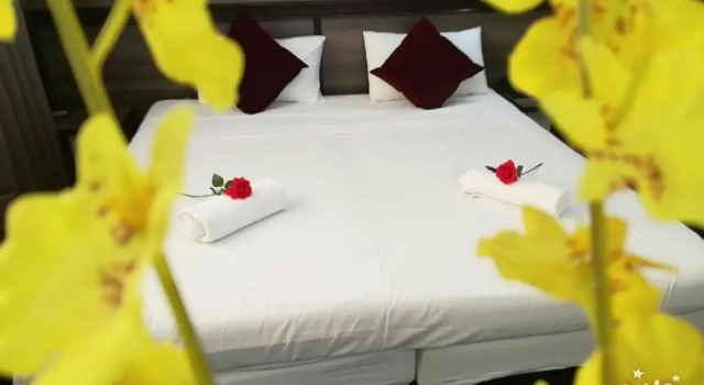 Двухместный номер Deluxe Hotel Le Paris