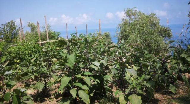 Вилла Villa Niccolò with stunning sea view swimming pool