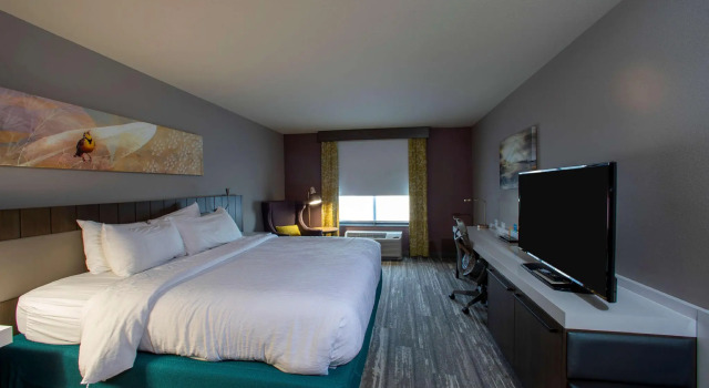 Двухместный номер Standard Hilton Garden Inn Rapid City