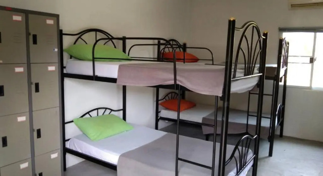 Кровать в общем номере Monkey Samui Hostel