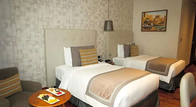 Одноместный номер Deluxe The Avenue Hotel