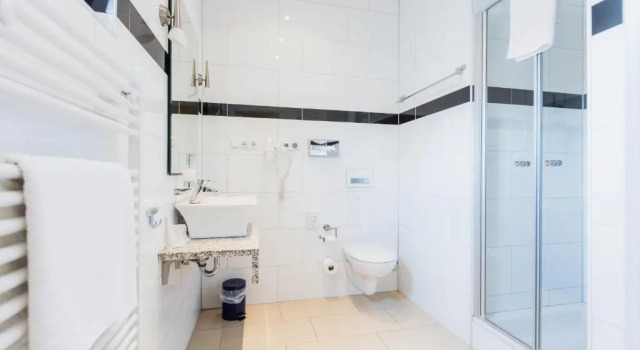 Номер Standard Gasper Business & Garden Hotel