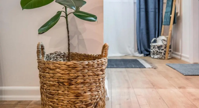 Апартаменты c 1 комнатой Atomium apartments