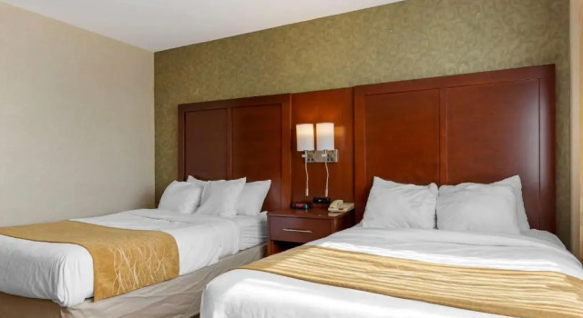 Четырёхместный номер Standard Comfort Inn