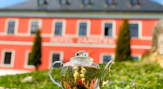 Wellness Hotel Zamecek