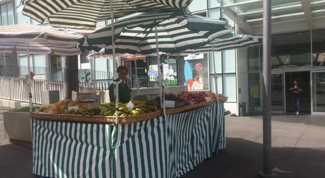 Апартаменты Canavial Terrace@Heart of Funchal