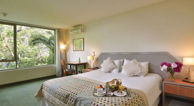 Номер Standard Hotel Eurotel El Bosque