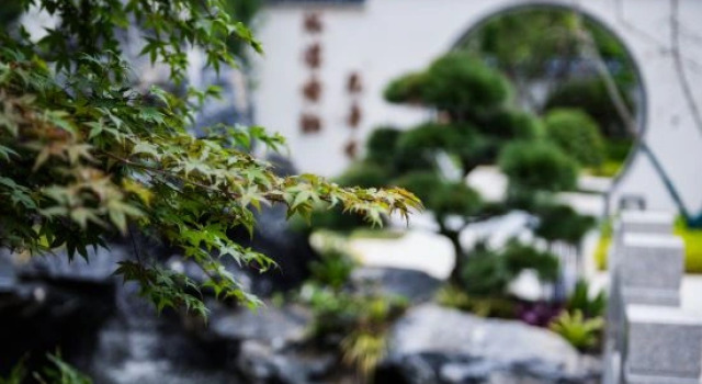 Qingxi Wushe B&B, Book Bed and Breakfast Hoteller i Sichuan med parkering, Parkering