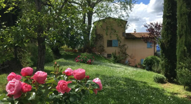 Апартаменты с видом на сад Appartamento con patio privato e giardino tra Pisa e Firenze