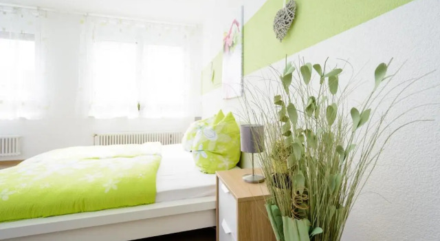 Апартаменты Breisach City-Appartements