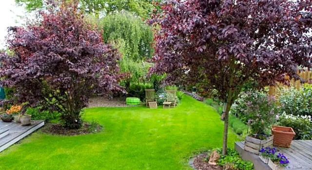 Saarlouis, Ortsteil Beaumarais "Anna's Cottage"Bed&Breakfast "#TravellerAwards 2022", Boek Hotel Saarlouis Saarland