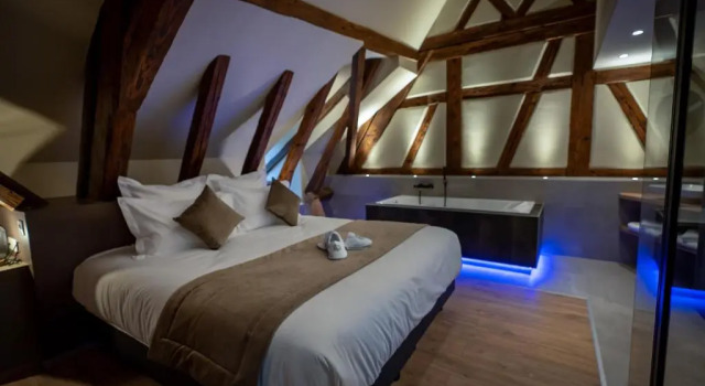Daire SERENITY Colmar - Gîtes de Prestige 4 et 5 étoiles - 2, 4 et 6 personnes- Centre Historique