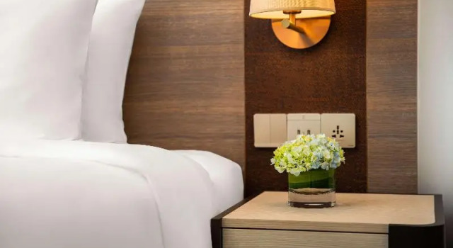 Люкс Standard Radisson Mumbai Andheri MIDC