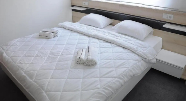 Двухместный номер Standard Garni Hotel Consul
