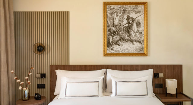 Номер Superior с видом на город Casa de las Artes member of Meliá Collection