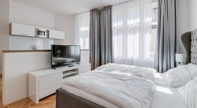 Двухместная студия Deluxe Gold Art Apartments