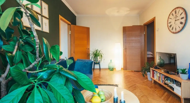 MalinaApt Botanical apartment