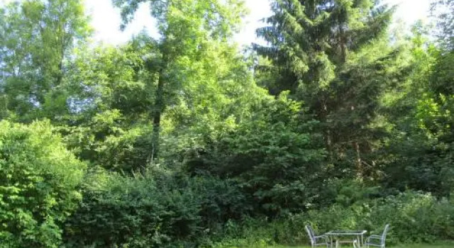 Hexenstieg House Lerbach, Prenota Hotel Osterode am Harz 