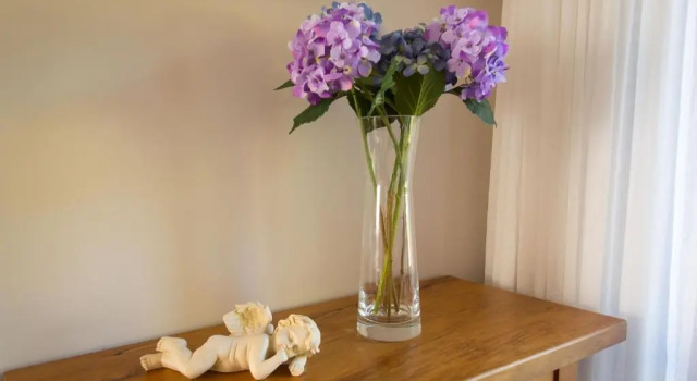 Студия с видом на сад Rolling Hills Country Stay B&B