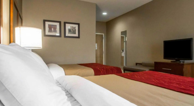 Четырёхместный номер Standard Comfort Inn Amite City