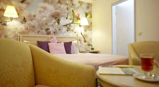 Номер Comfort Sebnitzer Hof by STEIGER Hotels