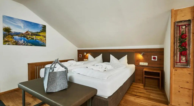 Одноместный номер Standard Hotel Rupertihof