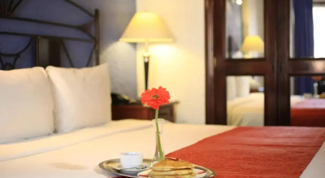 Camera Standard Hotel Emily