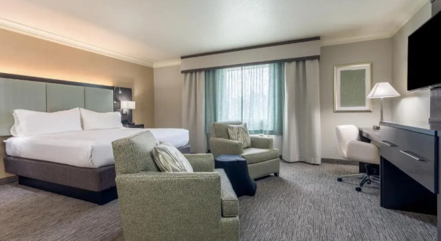 Двухместный номер Executive Holiday Inn Auburn by IHG