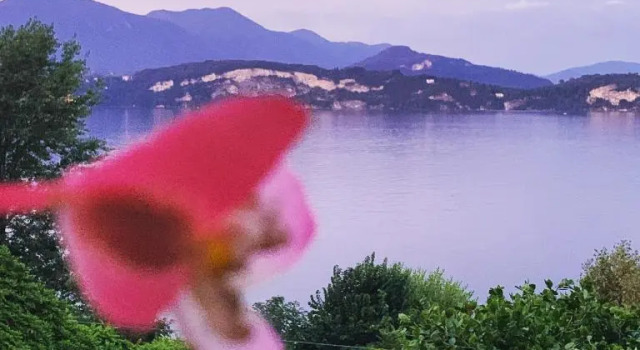 Апартаменты La mia casa sul lago con vista mozzafiato